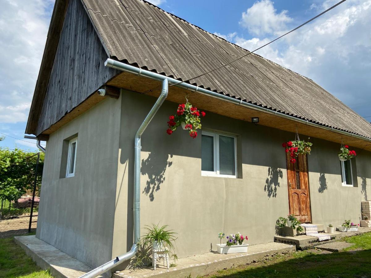 Біля Саду Volovets Exterior foto