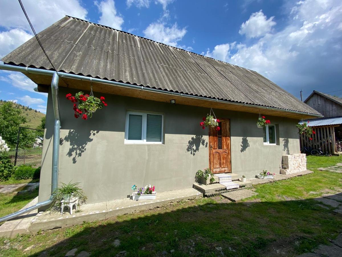 Біля Саду Volovets Exterior foto